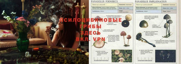 спайс Балабаново